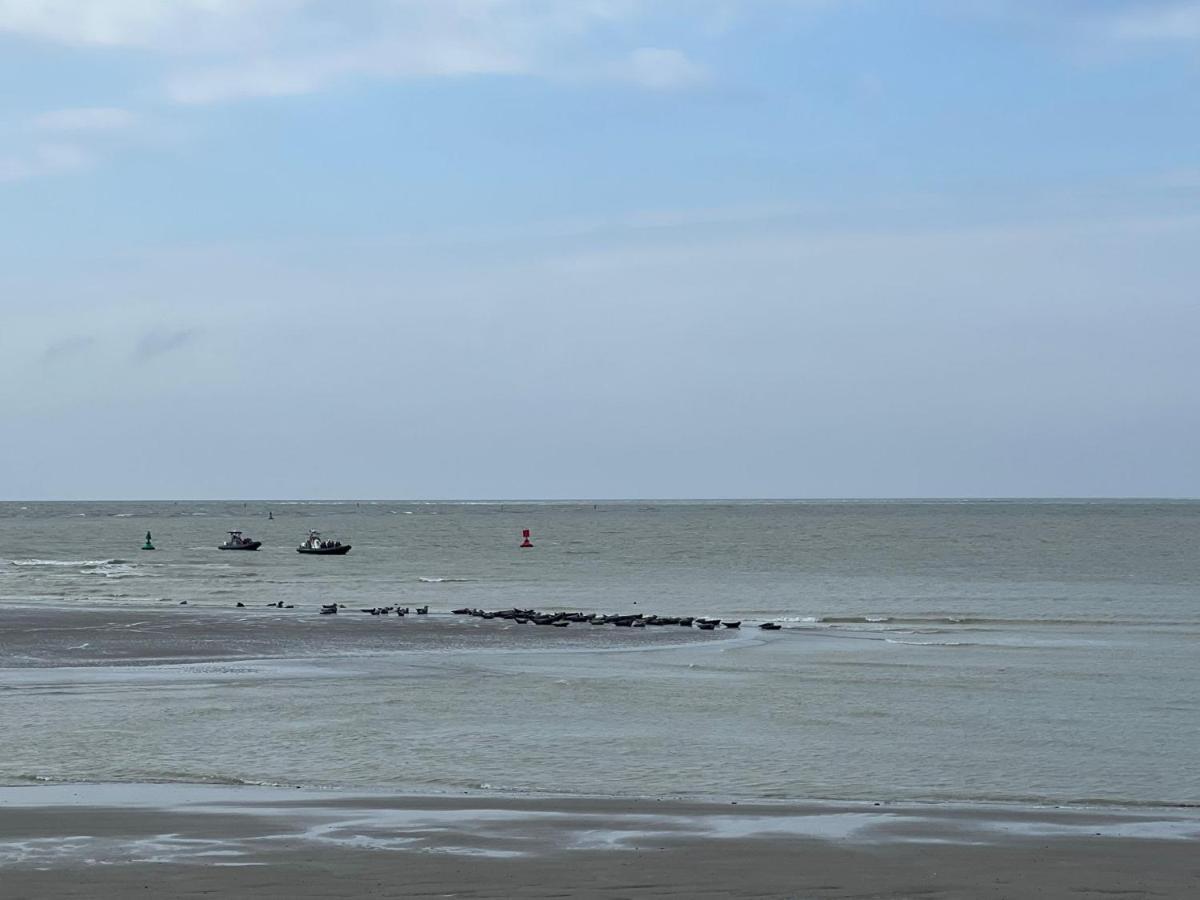 Plage A 50M Appartement Reves Ensoleilles Villa Les Bains De Mers 外观 照片