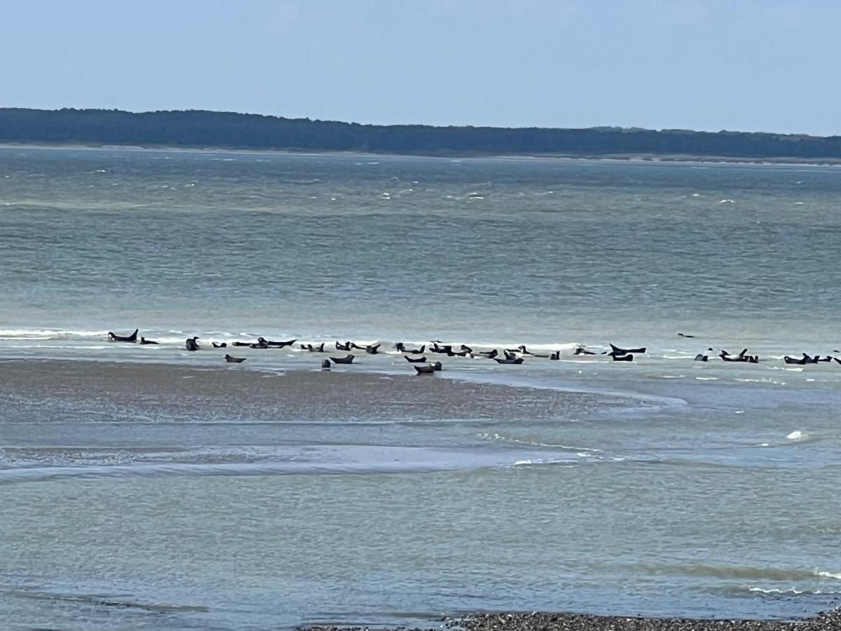 Plage A 50M Appartement Reves Ensoleilles Villa Les Bains De Mers 外观 照片